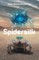 Spidersilk