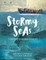 Stormy Seas