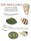 The Mollusks