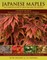 Japanese Maples