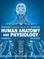 Essentials of Human Anatomy and Physiology