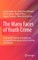 The Many Faces of Youth Crime