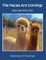 The Pacas Are Coming!