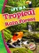 Life in a Tropical Rain Forest