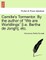 Camille's Tormentor. by the Author of "We Are Worldlings" [I.E. Bertha de Jongh], Etc.