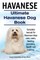 Havanese. Ultimate Havanese Book. Complete manual for Havanese dogs care, costs, feeding, grooming, health and training.