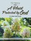 A Heart Protected by God