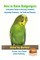 How to Raise Budgerigars - A Newbie's Guide to Raising Lovebirds - Australian Parakeets - for Profit and Pleasure