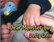 Dear Monster-Bug