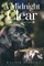 A Midnight Clear