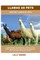 Llamas as Pets