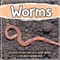 Worms