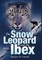 The Snow Leopard and the Ibex