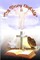 The Glory Unfolds