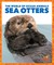 Sea Otters