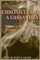 Chronicle of a Cassandra The Dark Matters of Science