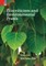 Ecocriticism and Environmental Praxis