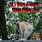 If I Were A Lemur