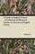 A Guide to English Cheeses - A Collection of Historical Articles on Varieties of English Cheese