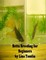 Betta Breeding for Beginners