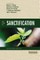 Five Views on Sanctification