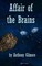 Affair of the Brains