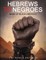 Hebrews to Negroes