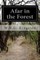 Afar in the Forest