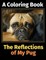 The Reflections of My Pug