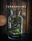 Terrariums