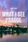 What I see Prague