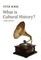 What Is Cultural History?