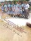 Electronic Document Preparation and Management for CSEC examination
