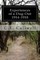 Experiences of a Dug-Out 1914-1918