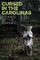 Cursed in the Carolinas