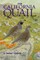 The California Quail