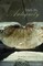 Time in Antiquity