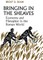 Bringing in the Sheaves