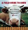A Field Guide to Cows
