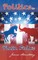 Politics for Plain Folks