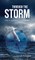 Through the Storm