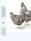 All About Broiler Chickens and Market Poultry