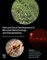 New and Future Developments in Microbial Biotechnology and Bioengineering