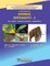 Animal Diversity - I