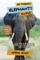 All Things Elephants For Kids