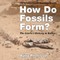 How Do Fossils Form? The Earth's History in Rocks Children's Earth Sciences Books