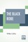 The Black Robe