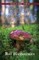 Random Mushrooms, Volume Two