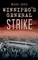 Winnipeg's General Strike