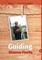 Guiding Diverse Flocks
